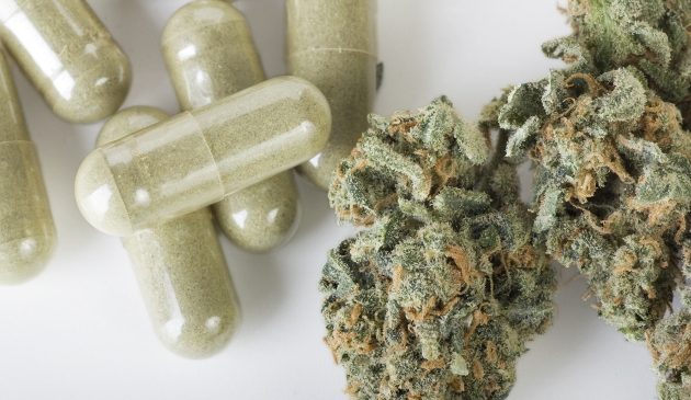 Se realiza el mayor decomiso de marihuana en el Bio Bio