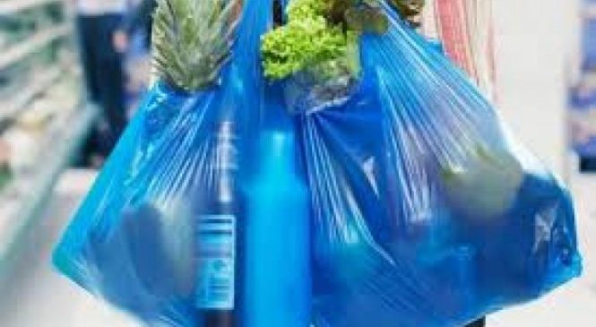 SENADO aprobó la prohibición de bolsas plásticas