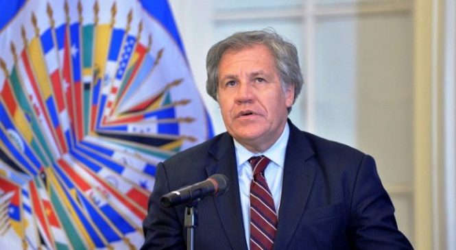 OEA no descarta una operación militar, para derrocar al dictador Nicolás Maduro