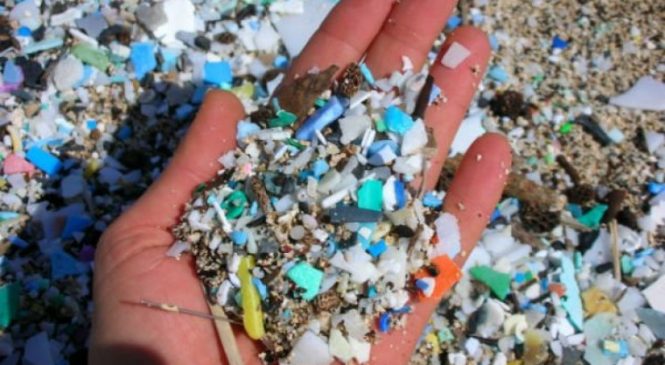 PELIGRO: Microplásticos ya están en la cadena alimenticia humana, según estudio internacional